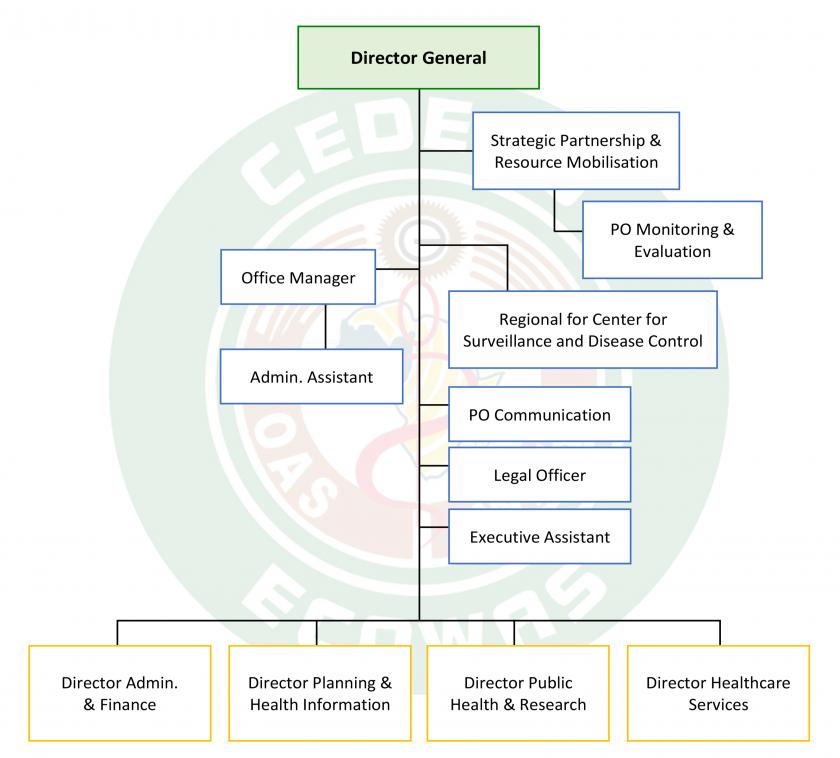 Organogram Overall
